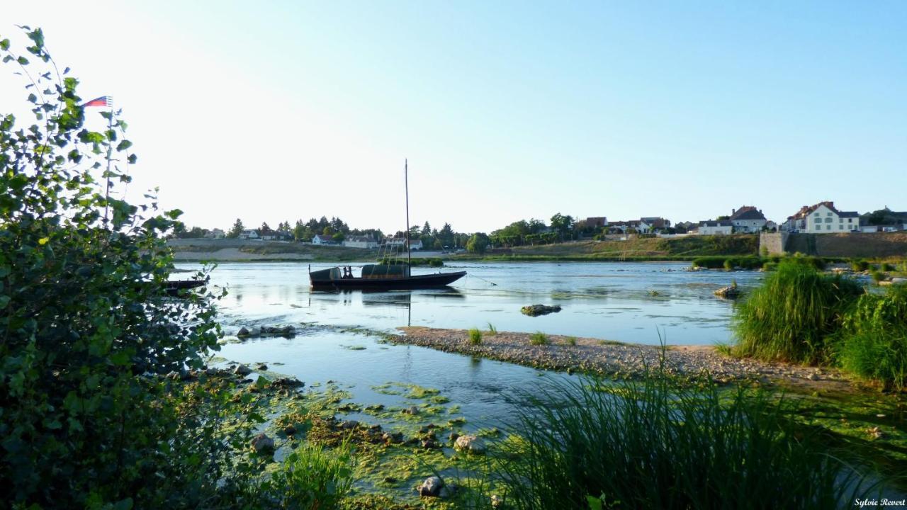 La Vue Loire Maison Saint-Denis-de lʼHôtel 外观 照片